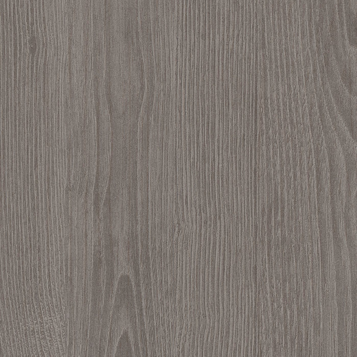 Grey Frozen Wood